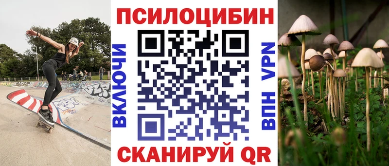 Галлюциногенные грибы Psilocybe  Сольцы 